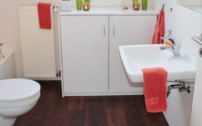 Da li ste znali da postoji više vrsta dijareja?