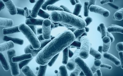 Gastroenterolozi odgovaraju: DA LI SU PROBIOTICI ZAISTA EFIKASNI?